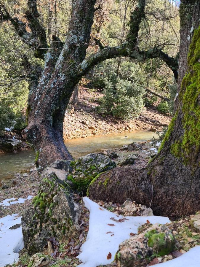 La Pommeraie D'Ifrane 이프란 외부 사진