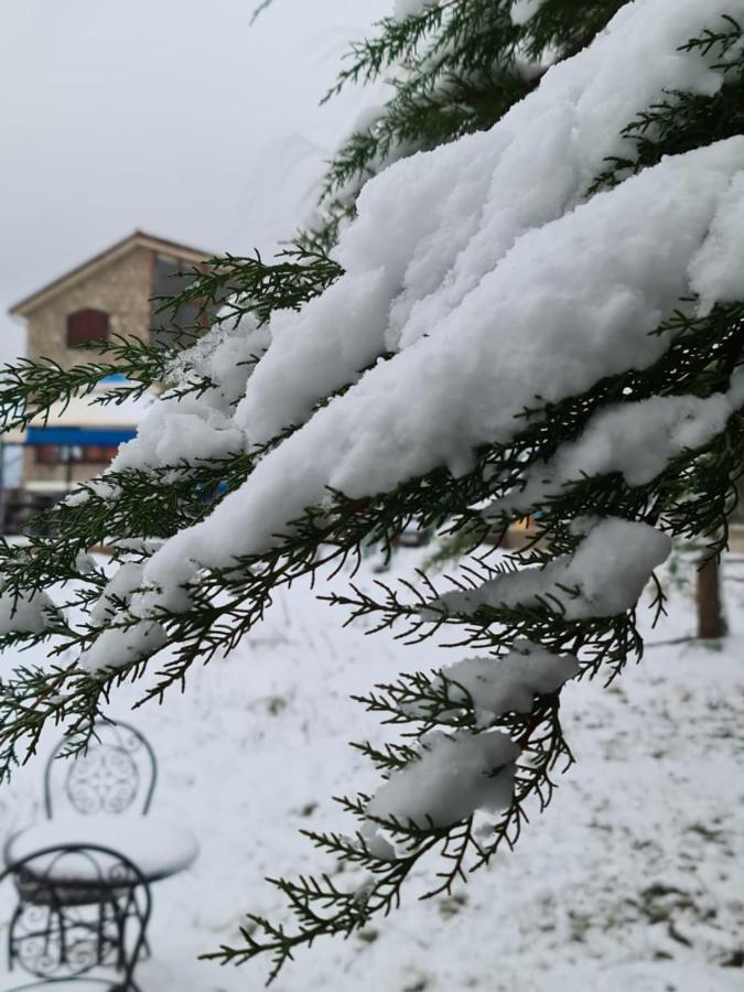 La Pommeraie D'Ifrane 이프란 외부 사진