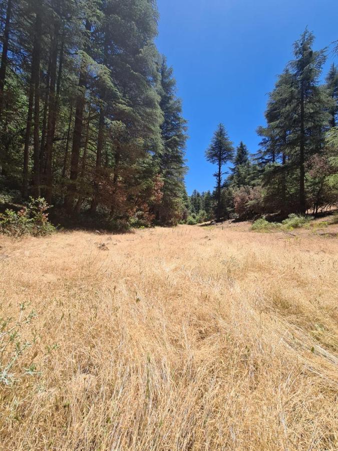 La Pommeraie D'Ifrane 이프란 외부 사진