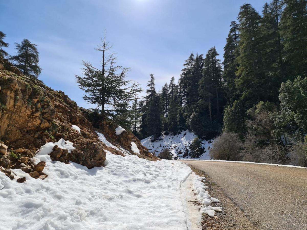 La Pommeraie D'Ifrane 이프란 외부 사진