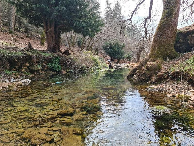 La Pommeraie D'Ifrane 이프란 외부 사진