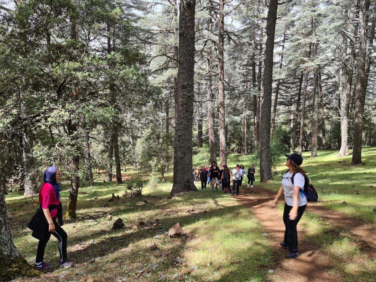 La Pommeraie D'Ifrane 이프란 외부 사진