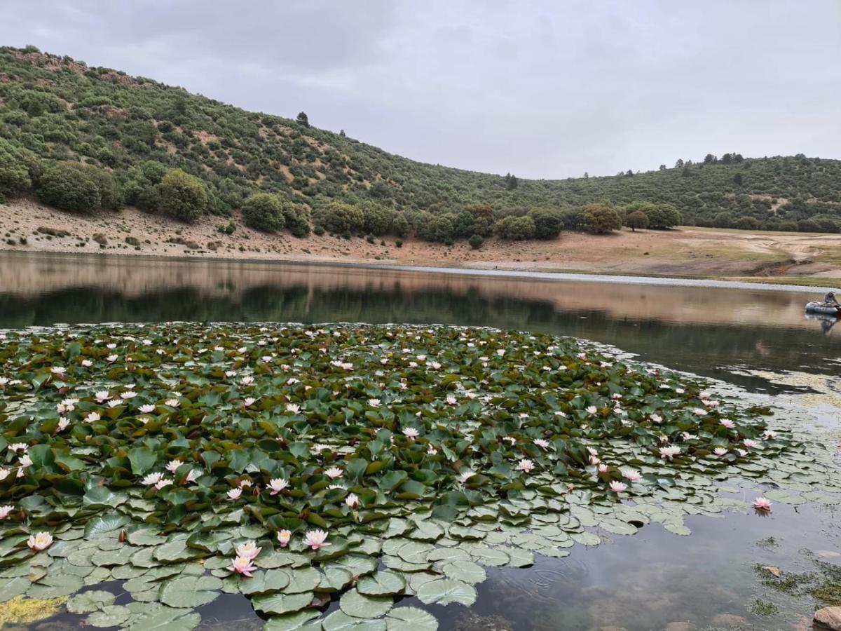 La Pommeraie D'Ifrane 이프란 외부 사진