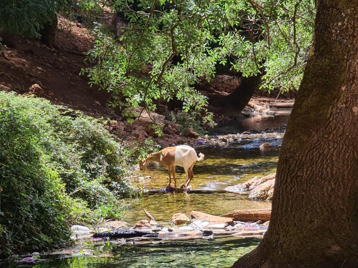 La Pommeraie D'Ifrane 이프란 외부 사진