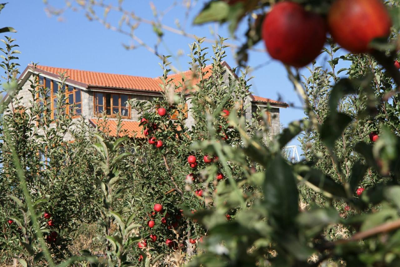 La Pommeraie D'Ifrane 이프란 외부 사진